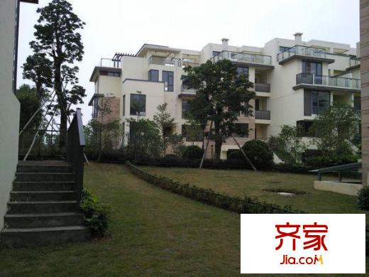 泰禾紅樹林C區(qū)外景圖 