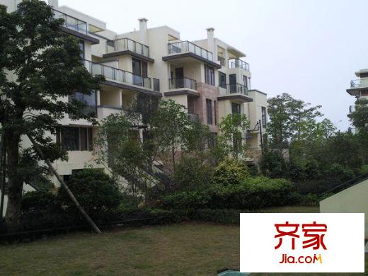 泰禾紅樹林C區(qū)外景圖 