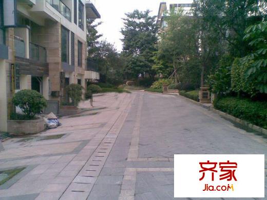 泰禾紅樹林F區(qū)外景圖 