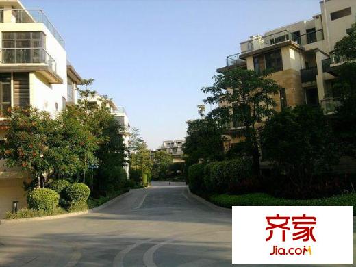 泰禾紅樹林F區(qū)外景圖 