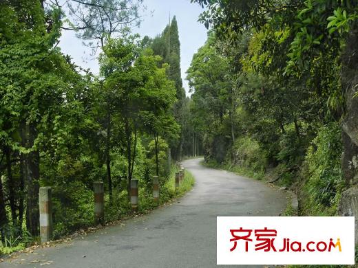 融僑?觀山府周邊風(fēng)光：旗山公路