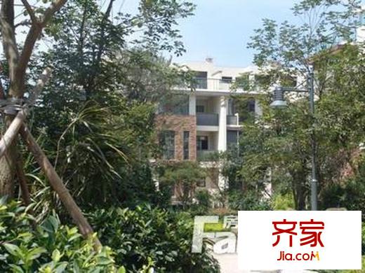 泰禾紅樹林B1區(qū)外景圖 