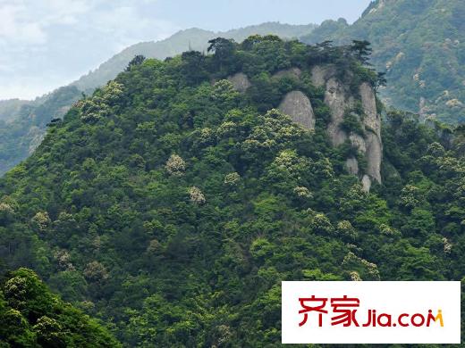 融僑?觀山府周邊風光：旗山蓮芳水庫綠山