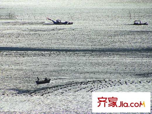 假日聽海定海（20100812) 