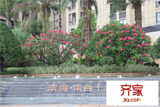 南臺十六府中央花園2（2015-07-06）