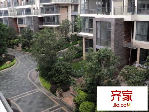 泰禾紅樹林外景圖 