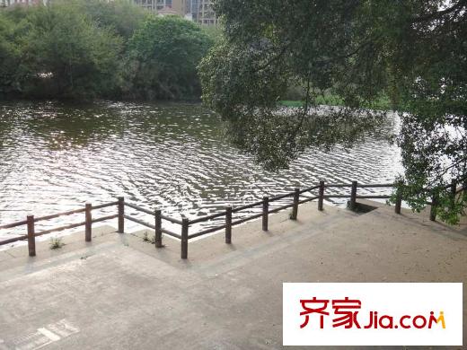 泰禾紅樹林配套圖金山公園