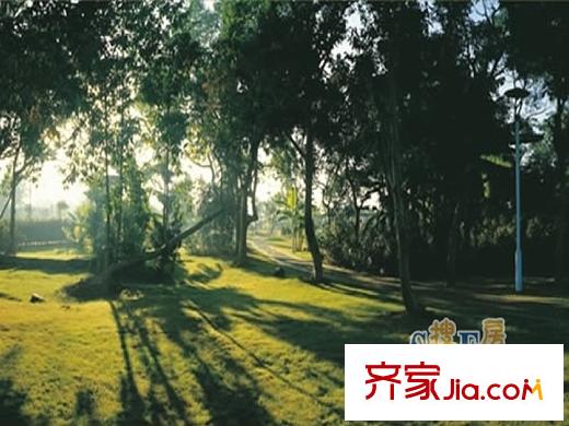 泰禾紅樹林配套圖金山公元