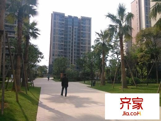 陽(yáng)光城新界外景圖 
