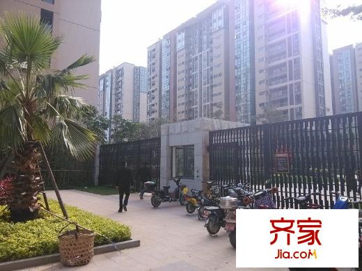 陽(yáng)光城新界外景圖 