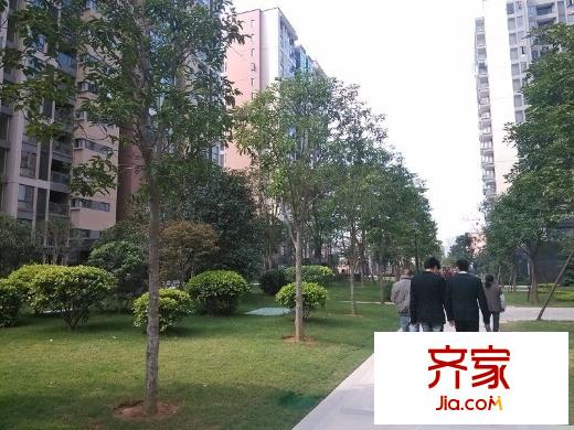 陽光城新界外景圖 