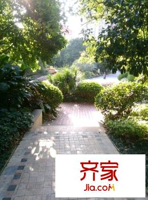 泰禾紅峪A區(qū)外景圖 