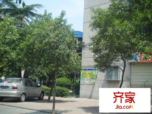 七里小區(qū)外景圖  