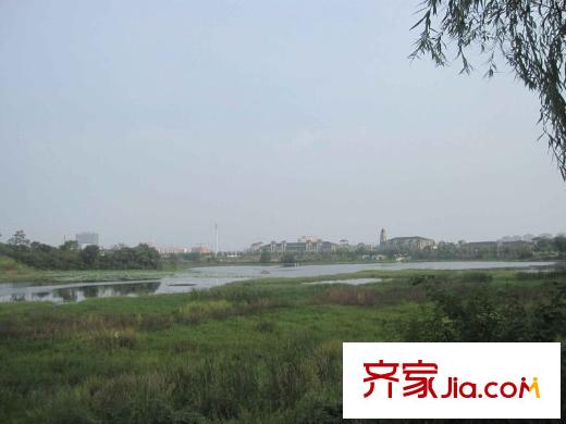 中國鐵建梧桐苑周邊濕地公園