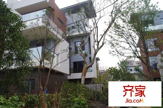 光谷坐標(biāo)城九臺別墅（20150331）