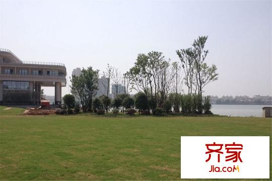 聯(lián)投半島草坪綠化帶（2015.3.20）
