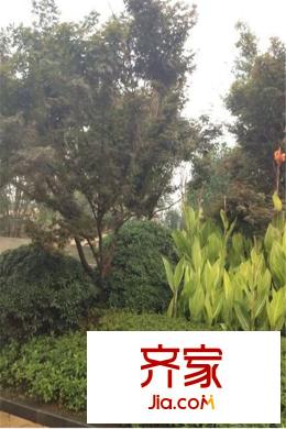聯(lián)投半島