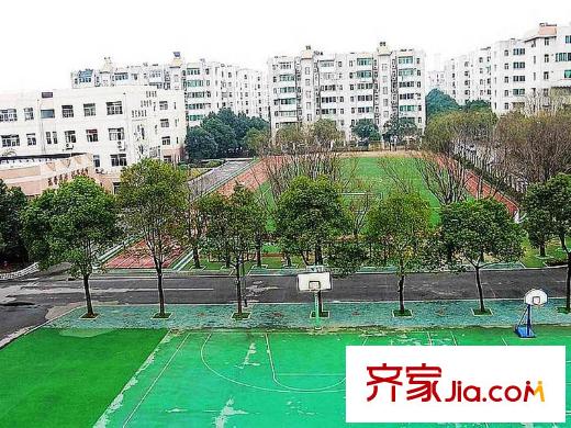 聯(lián)投半島周邊神龍小學(xué)