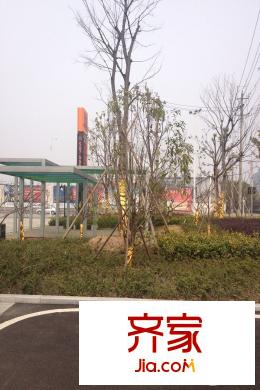 綠地國(guó)博財(cái)富中心營(yíng)銷(xiāo)中心大門(mén)外（20150330）
