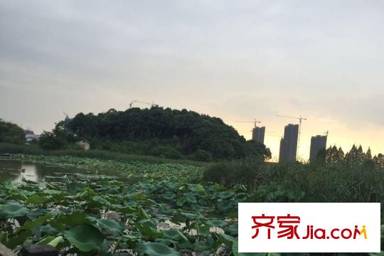 萬科花山紫悅灣周邊嚴(yán)西湖濕地公園