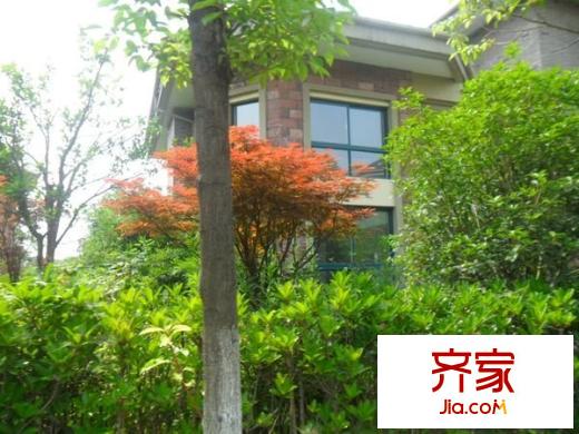 聽濤觀海別墅外景圖 