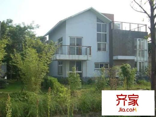大洋彼岸心海岸別墅外景圖小區(qū)綠化（20090923）