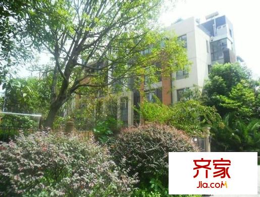 水岸星城別墅外景圖 