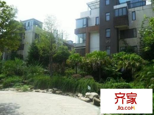 水岸星城別墅外景圖 