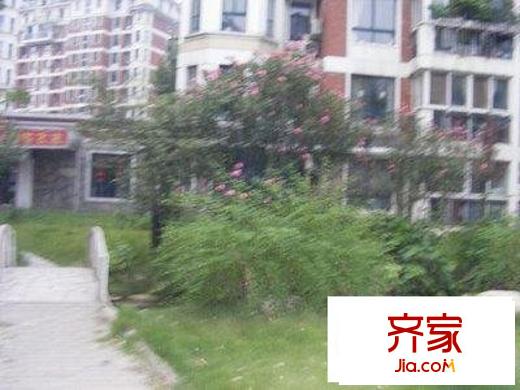 新地東方花都外景圖小區(qū)相關圖_8