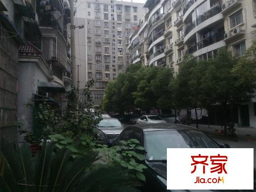 望山門新都外景圖