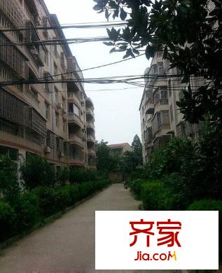 永平花園外景圖c49c92aabe2d643b_2