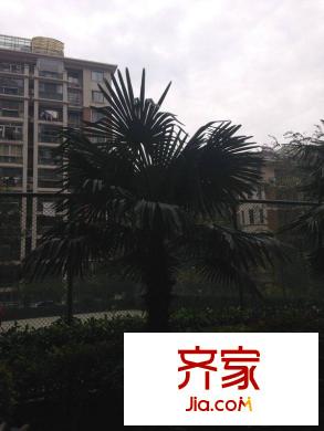 東方萊茵外景圖 