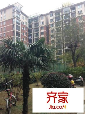 東方萊茵外景圖 