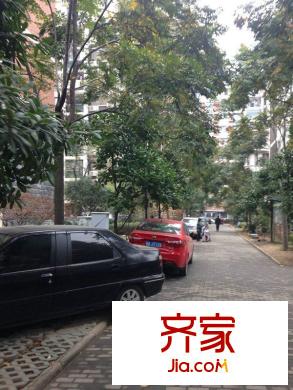 東方萊茵外景圖 