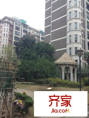 東方萊茵外景圖 