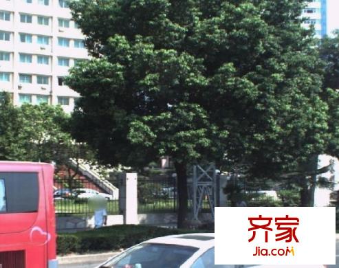 十畝地小區(qū)外景圖 
