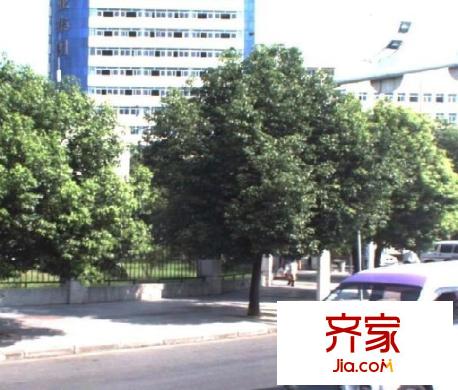 十畝地小區(qū)外景圖 