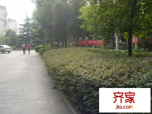 陽光花園外景圖小區(qū)相關(guān)圖_3