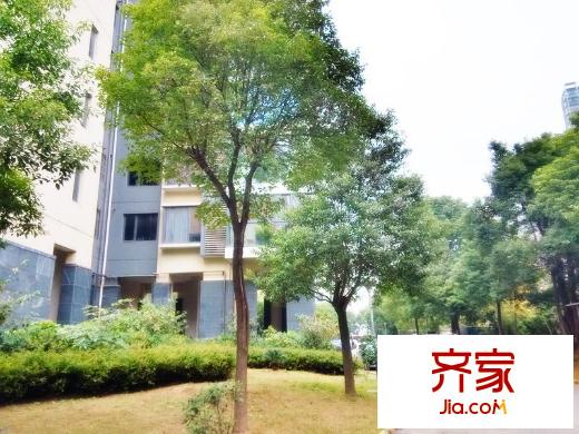 三金鑫城國(guó)際外景圖 