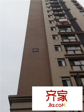 大華南湖公園世家三期外景圖 
