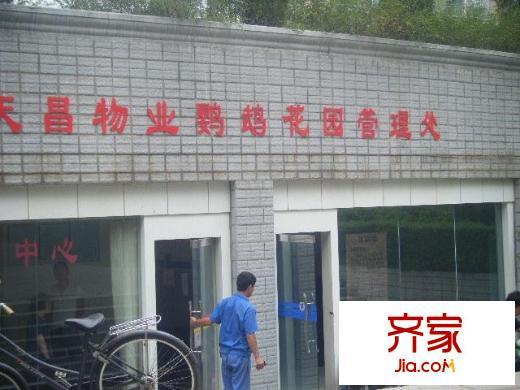 鸚鵡花園外景圖 