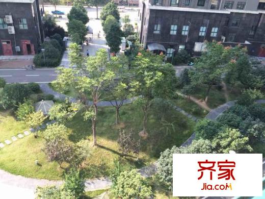 秦水名邸外景圖 