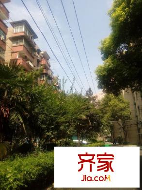 梅苑小區(qū)外景圖 