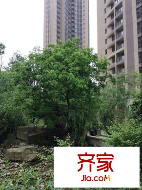 廣電蘭亭都薈外景圖 