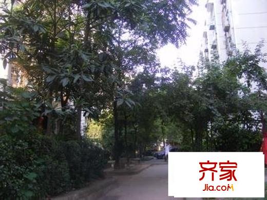 水仙里