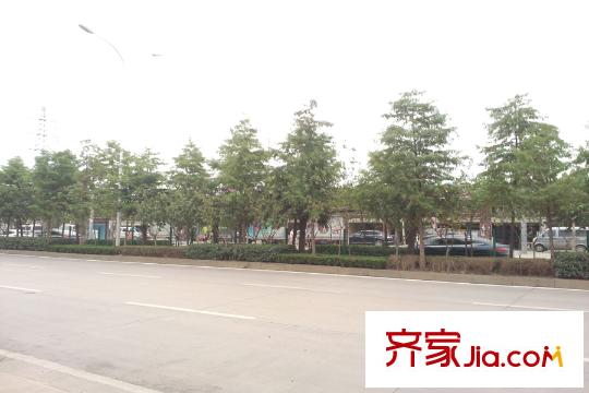 大江鑫港龍城周邊琴臺大道