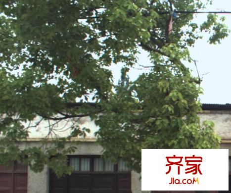 黃鶴世家外景圖 