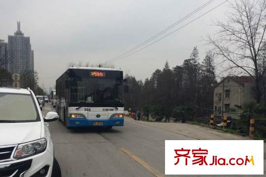觀瀾天地周邊公交車