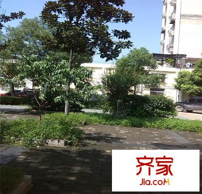 新安小區(qū)外景圖