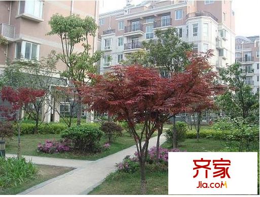 長江紫都外景圖 
